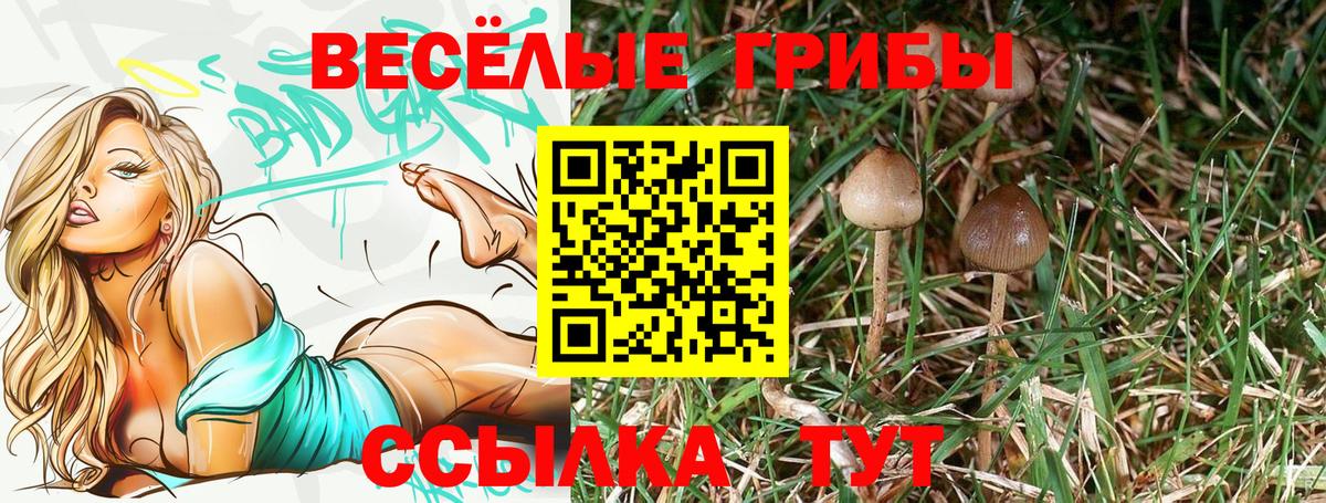 Ржев  Псилоцибиновые грибы ЛСД  Галлюциногенные грибы ЛСД  Вход с VPN 