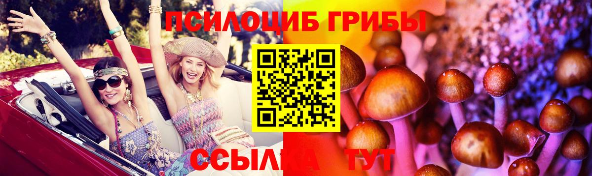 Галлюциногенные грибы прущие грибы Ржев